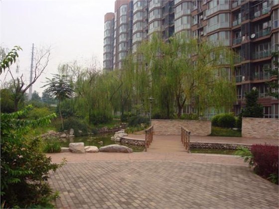 撲鼠器廠家總結小區防鼠技巧