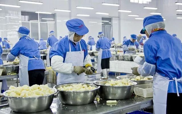 食品加工廠內環境哪些地方需要放捕鼠器械